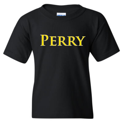Perry V2 - Heavy Cotton™  T-Shirt (Youth) Thumbnail