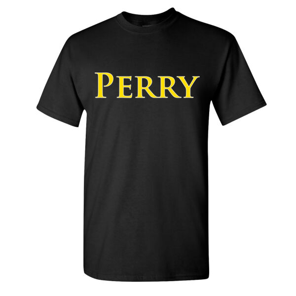 Perry V2 - Heavy Cotton™ T-Shirt (Adult) Thumbnail
