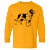  Heavy Cotton™ Long Sleeve T-Shirt (Youth) Thumbnail