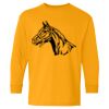  Heavy Cotton™ Long Sleeve T-Shirt (Youth) Thumbnail