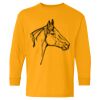  Heavy Cotton™ Long Sleeve T-Shirt (Youth) Thumbnail