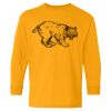  Heavy Cotton™ Long Sleeve T-Shirt (Youth) Thumbnail