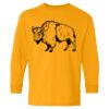  Heavy Cotton™ Long Sleeve T-Shirt (Youth) Thumbnail