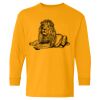 Heavy Cotton™ Long Sleeve T-Shirt (Youth) Thumbnail