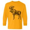  Heavy Cotton™ Long Sleeve T-Shirt (Youth) Thumbnail