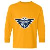  Heavy Cotton™ Long Sleeve T-Shirt (Youth) Thumbnail