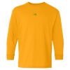  Heavy Cotton™ Long Sleeve T-Shirt (Youth) Thumbnail