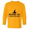  Heavy Cotton™ Long Sleeve T-Shirt (Youth) Thumbnail