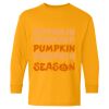  Heavy Cotton™ Long Sleeve T-Shirt (Youth) Thumbnail