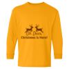  Heavy Cotton™ Long Sleeve T-Shirt (Youth) Thumbnail