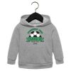 Toddler Sponge Fleece Pullover Hoodie Thumbnail
