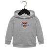 Toddler Sponge Fleece Pullover Hoodie Thumbnail