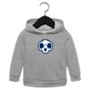 Toddler Sponge Fleece Pullover Hoodie Thumbnail