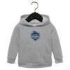 Toddler Sponge Fleece Pullover Hoodie Thumbnail