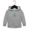 Toddler Sponge Fleece Pullover Hoodie Thumbnail