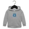 Toddler Sponge Fleece Pullover Hoodie Thumbnail