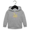 Toddler Sponge Fleece Pullover Hoodie Thumbnail