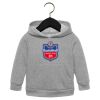 Toddler Sponge Fleece Pullover Hoodie Thumbnail