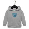 Toddler Sponge Fleece Pullover Hoodie Thumbnail