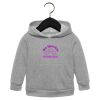 Toddler Sponge Fleece Pullover Hoodie Thumbnail